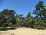 Lutterzand